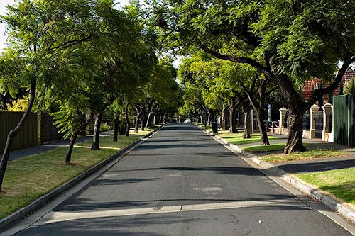 Toorak_Gardens_Street23